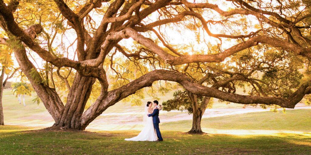 Victoria Park Brisbane Wedding