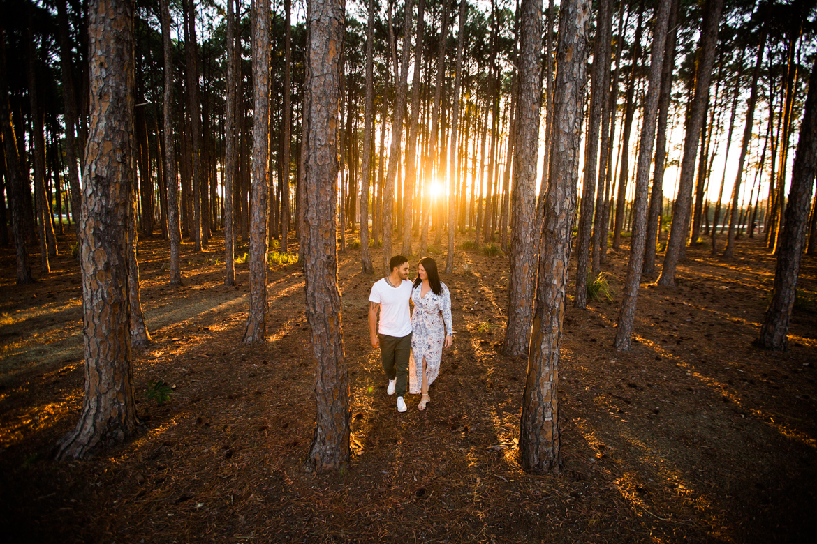 Gold Coast Pine Forest Engagement Photographs