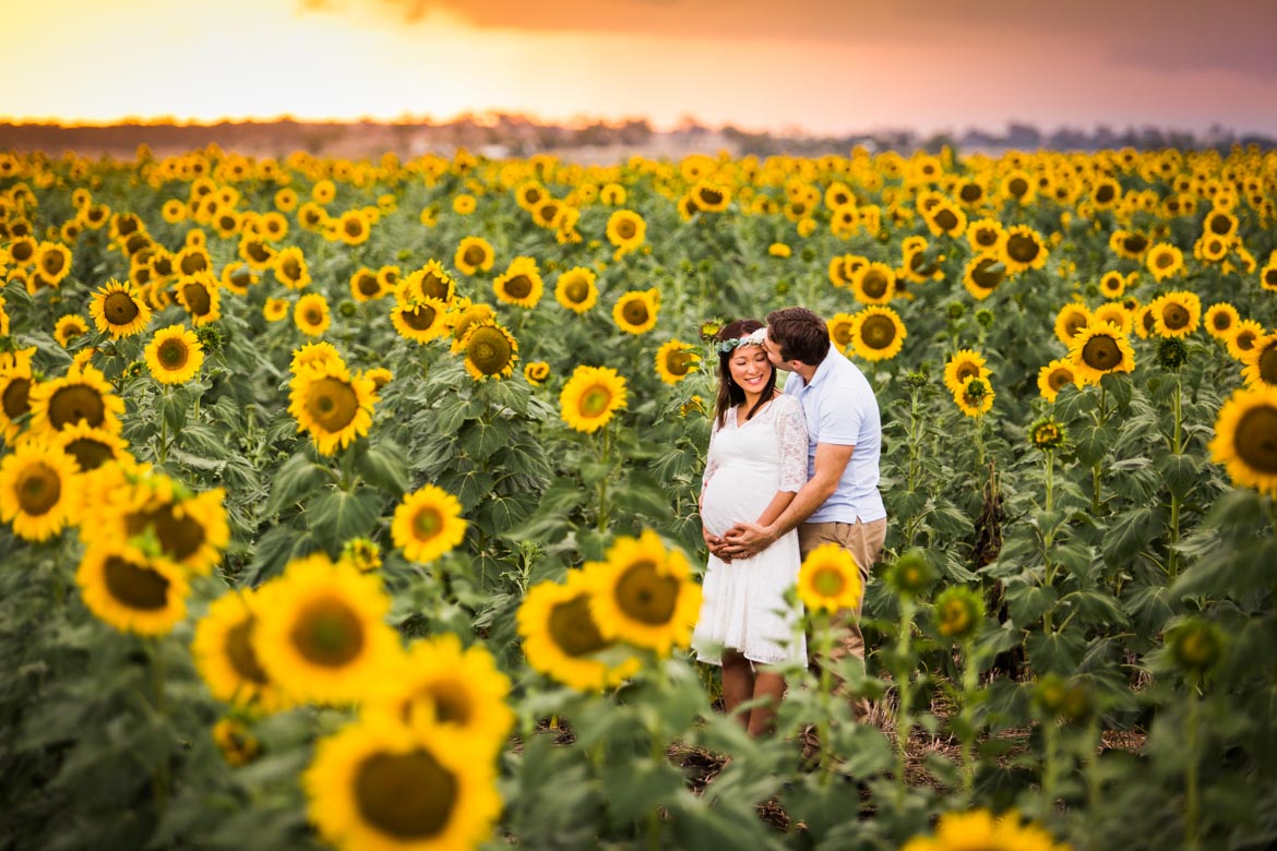 Sunflower Maternity Photography Brisbane