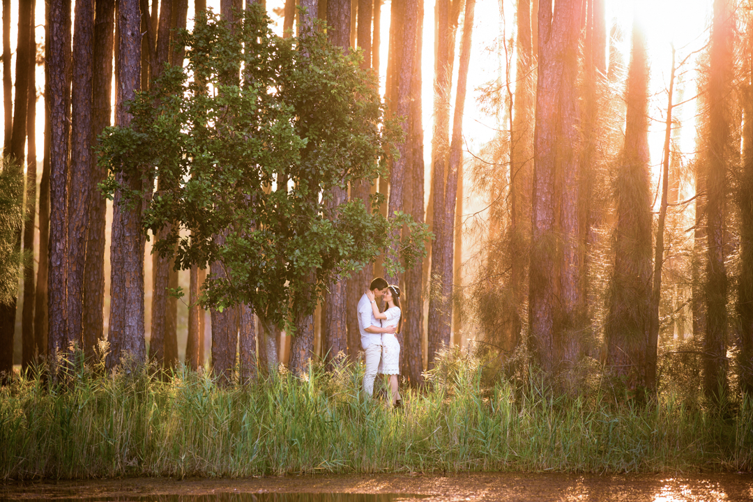 Engagement Gallery Update 004