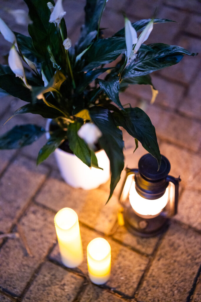 Brisbane Proposal Photographer