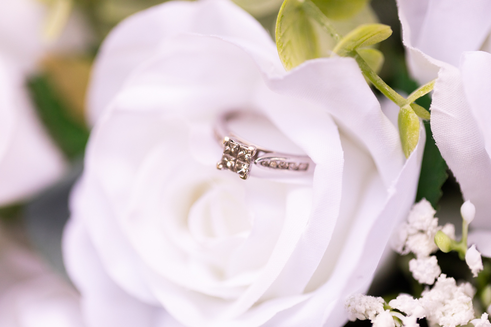 Rainforest Gardens Mount Cotton Wedding Photography