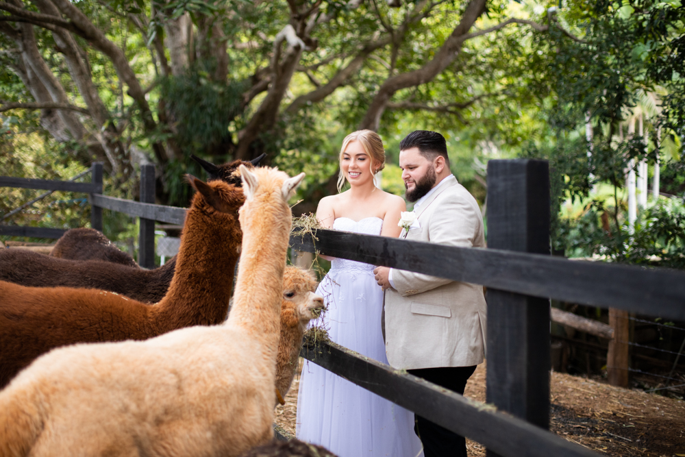 Rainforest Gardens Mount Cotton Wedding Photography