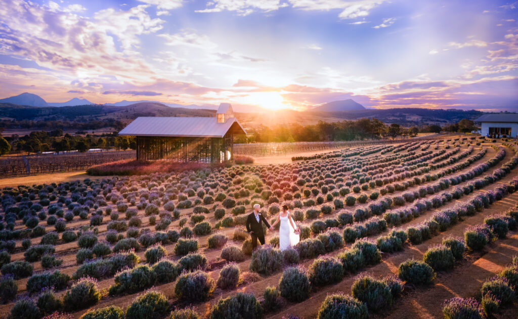 Kooroomba Lavender Farm Wedding Photographer