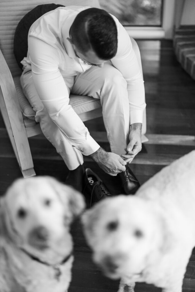 Shambala Estate Tamborine Wedding Photographer 003
