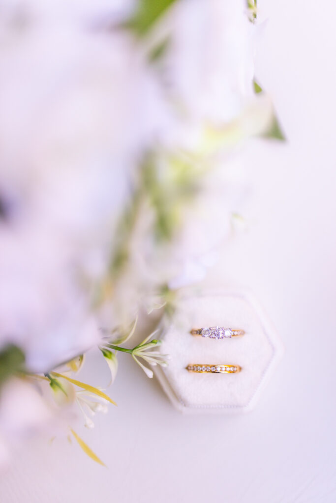 Shambala Estate Tamborine Wedding Photographer 014 2