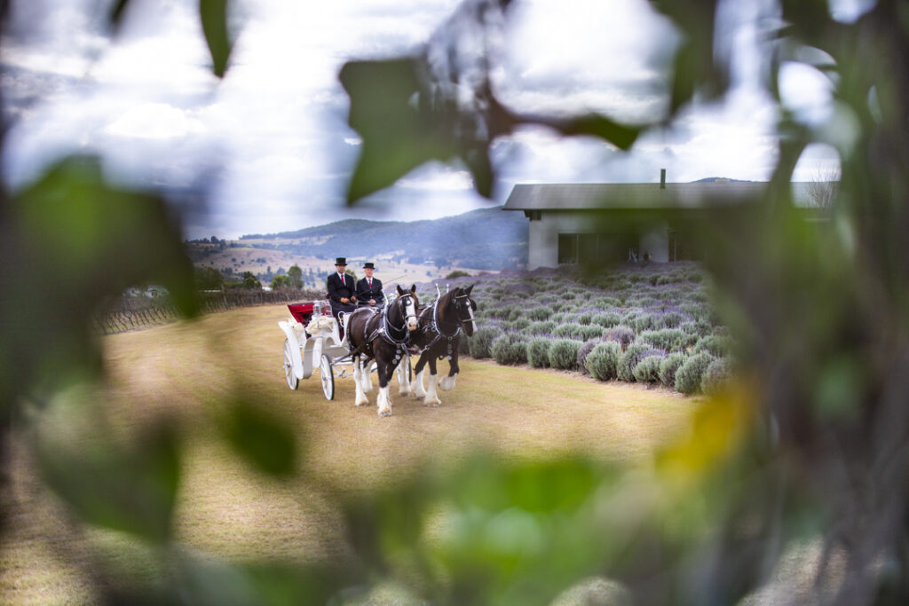 Kooroomba Vineyard Wedding Photos 053