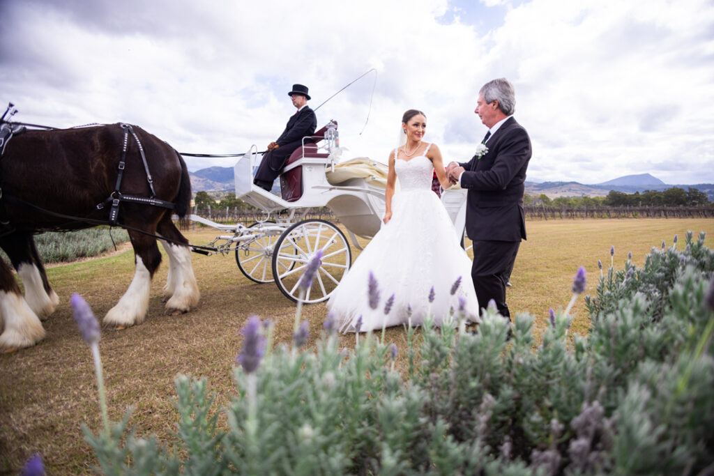 Kooroomba Vineyard Wedding Photos 054