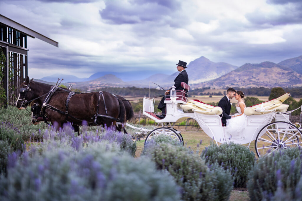 Kooroomba Vineyard Wedding Photos 081