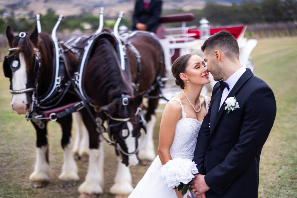 Kooroomba Vineyard Wedding Photos 084