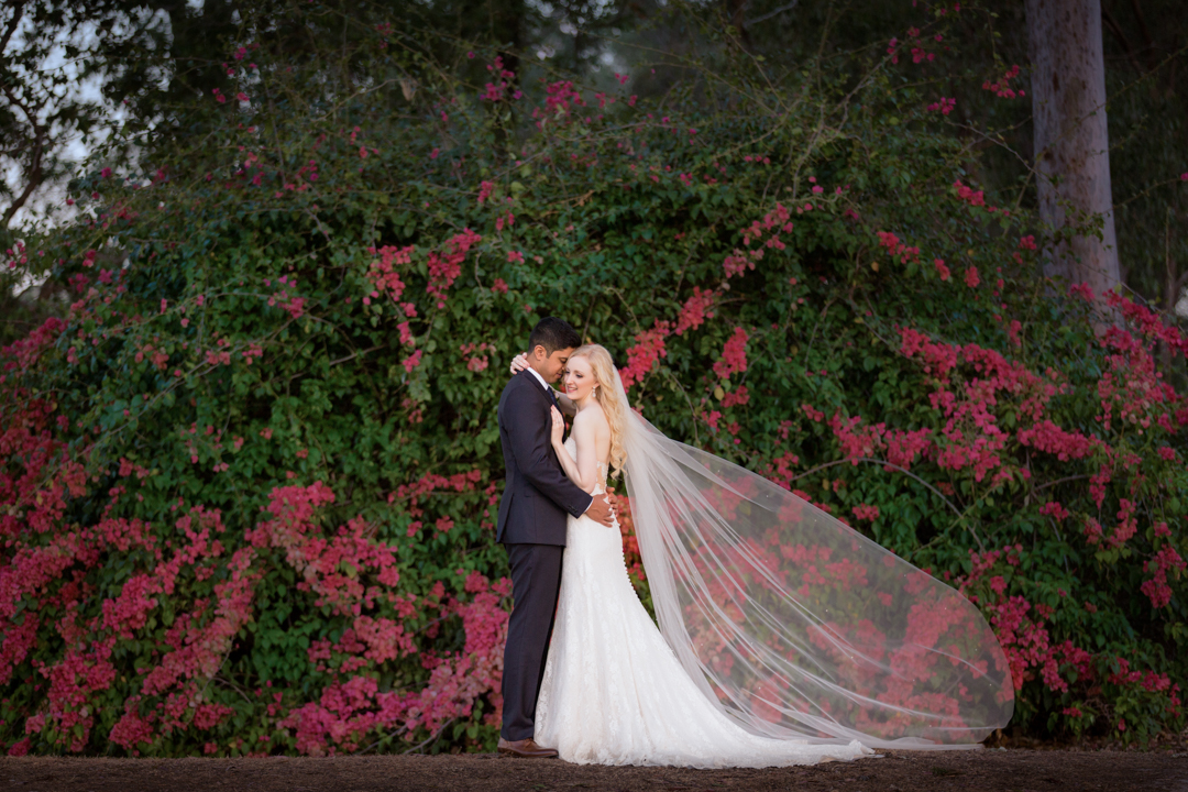 Saint Stephens Cathedral Wedding 053