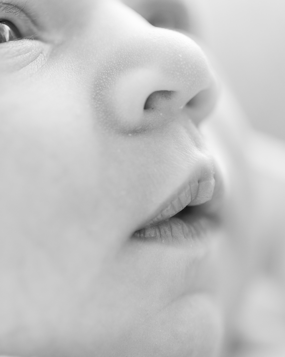 Gold Coast Newborn Photography
