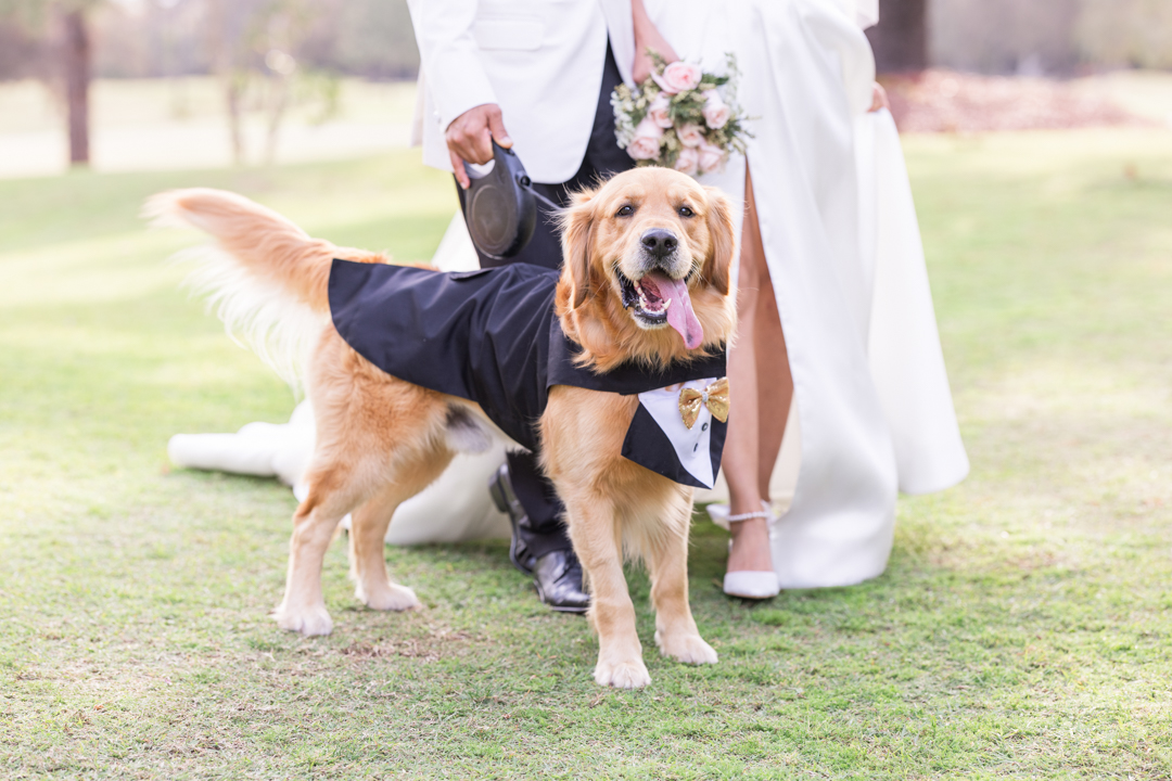 Royal Pines Resort Gold Coast Wedding Photographer 028