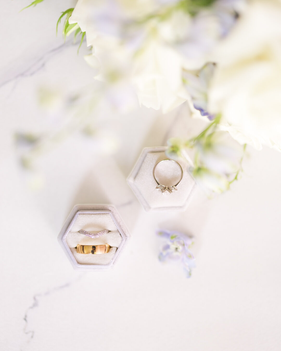 Cowbell Creek Gold Coast Wedding Photographer 005 edited